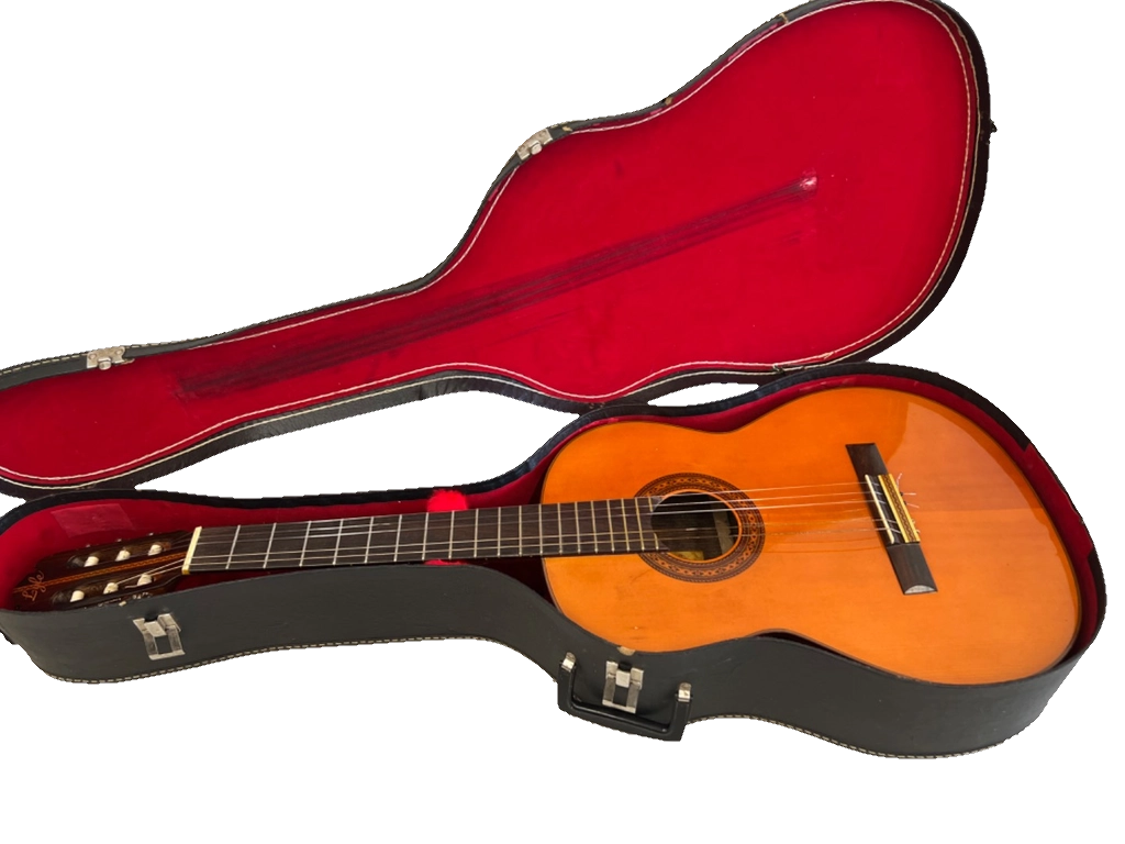1970 Lyle Classical Guitar