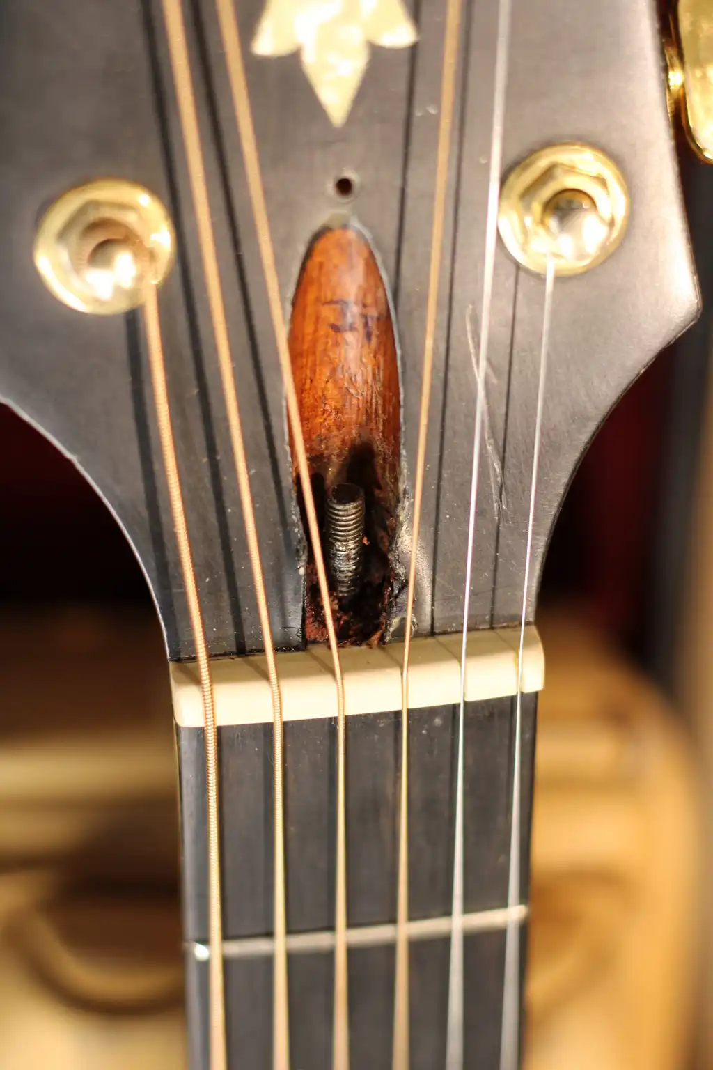 Truss Rod Damage