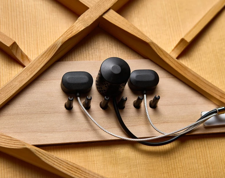 Cozad Guitars - LR Baggs HiFi Duet
