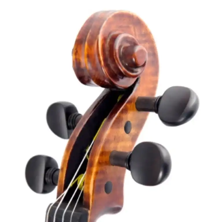 Cello Headstock