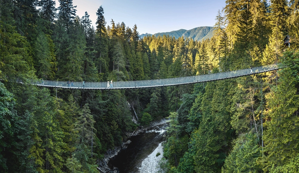 Suspension Bridge