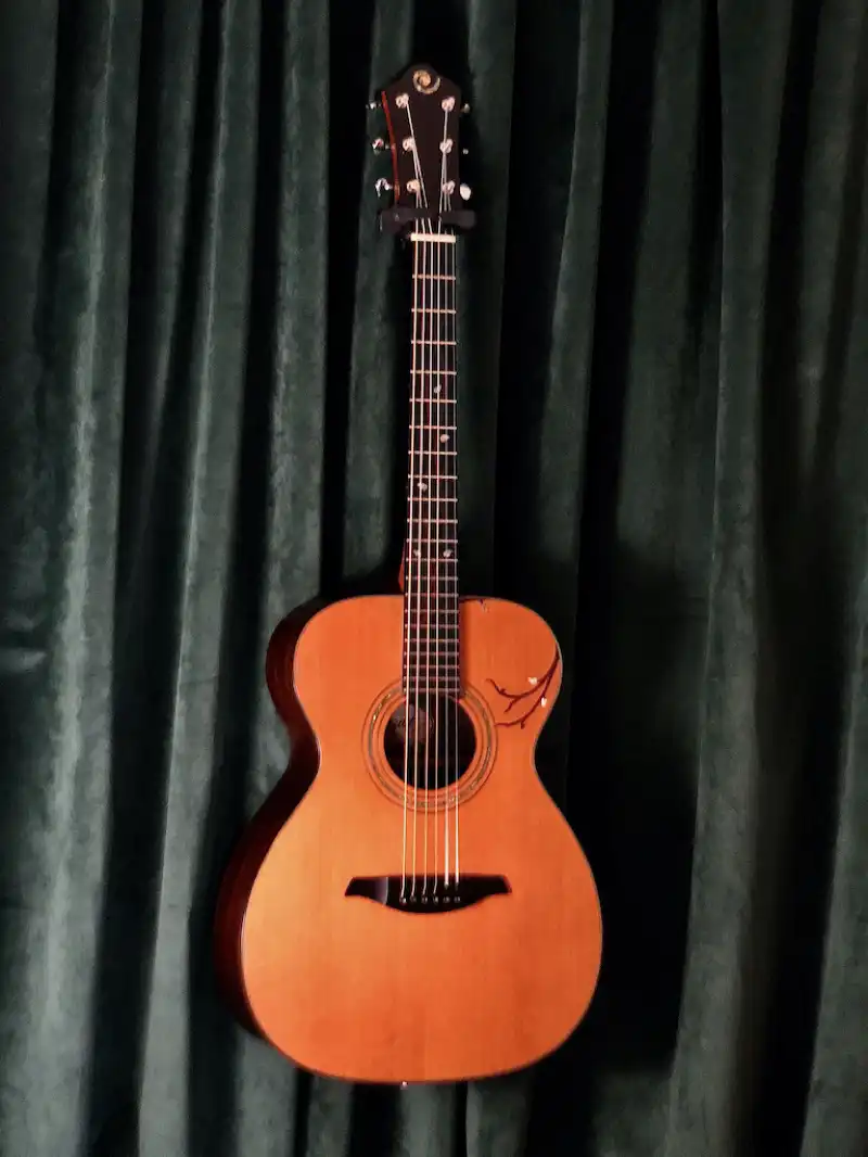 Cozad Guitars - Continental