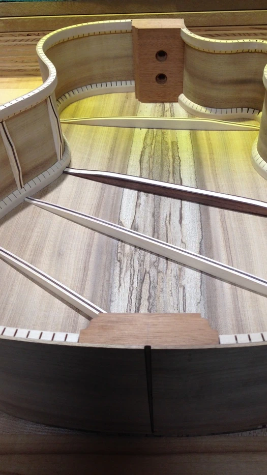 Cozad Guitars - Back and Sides Complete