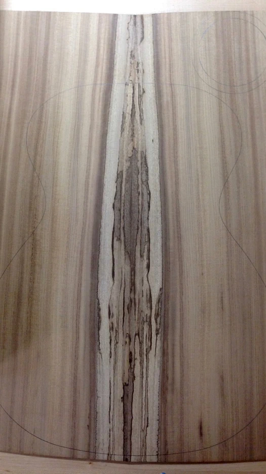 Cozad Guitars - The Back Plate