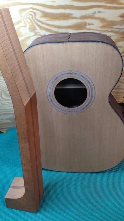 Cozad Guitars - Neck and Body