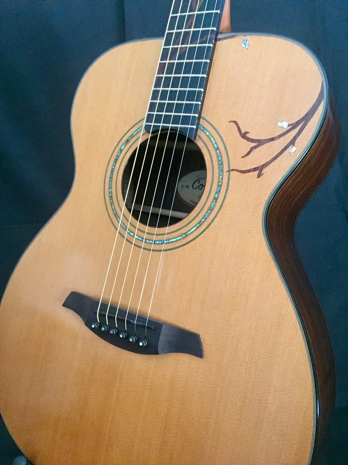 Cozad Guitars - The Continental