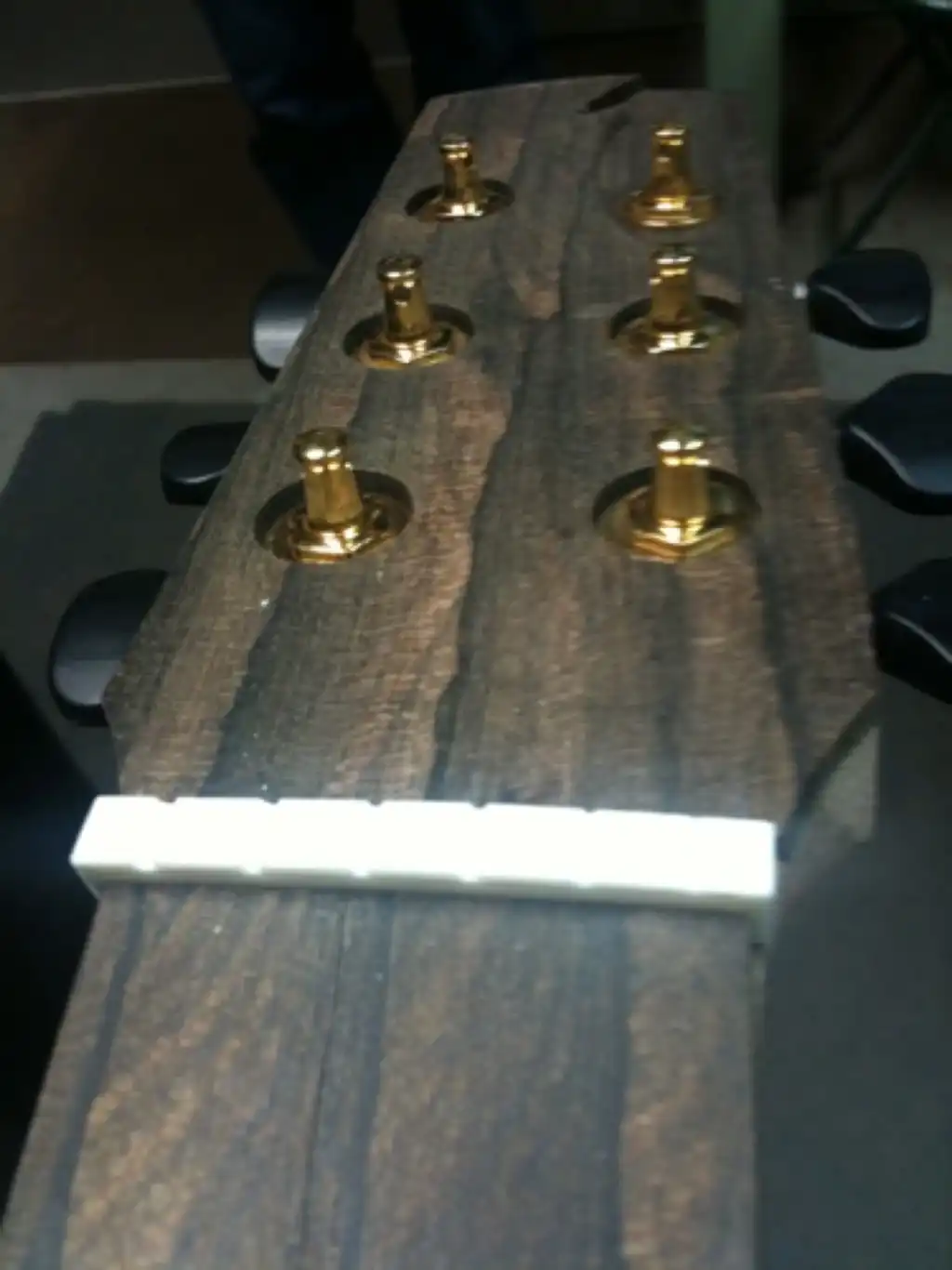 Ziricote Fretboard and Headplate