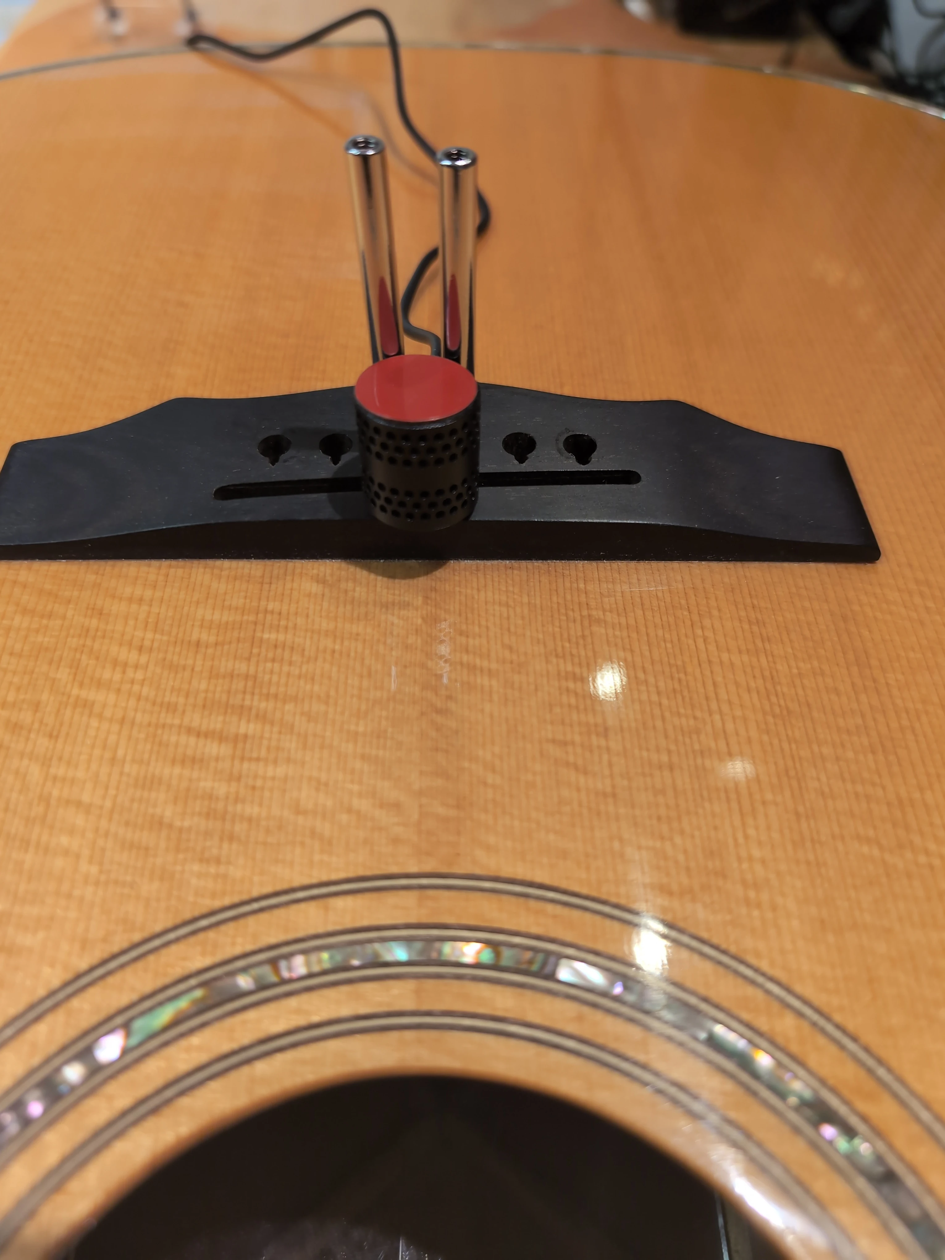 Cozad Guitars - LR Baggs Silo Mic and Positioning Posts