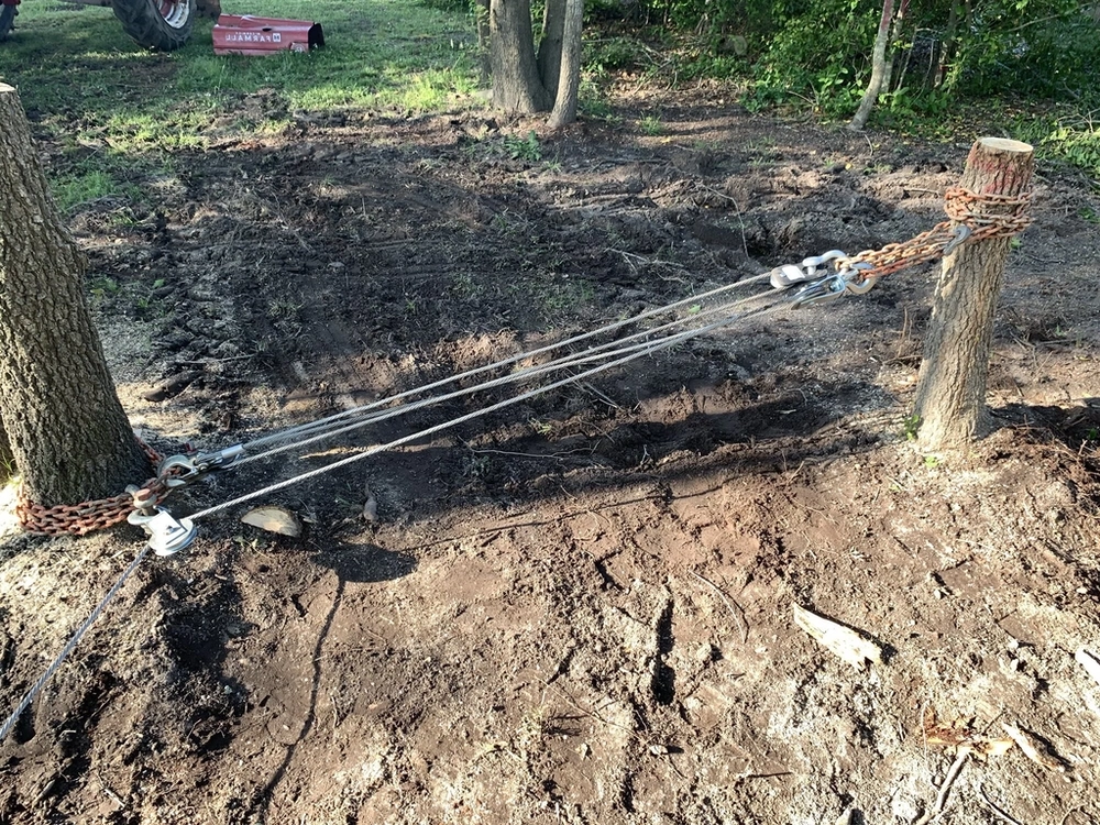 Stump Removal