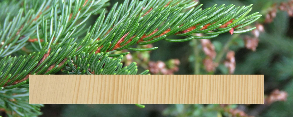 Tonewoods - Red Spruce