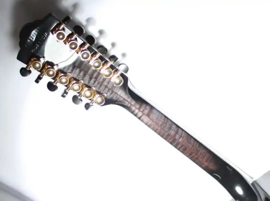Back of Neck