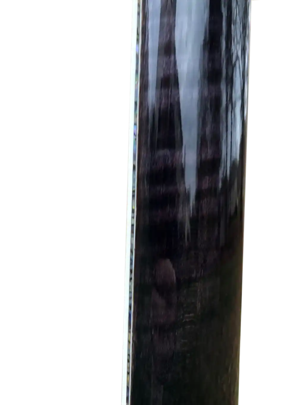 Back of the Neck