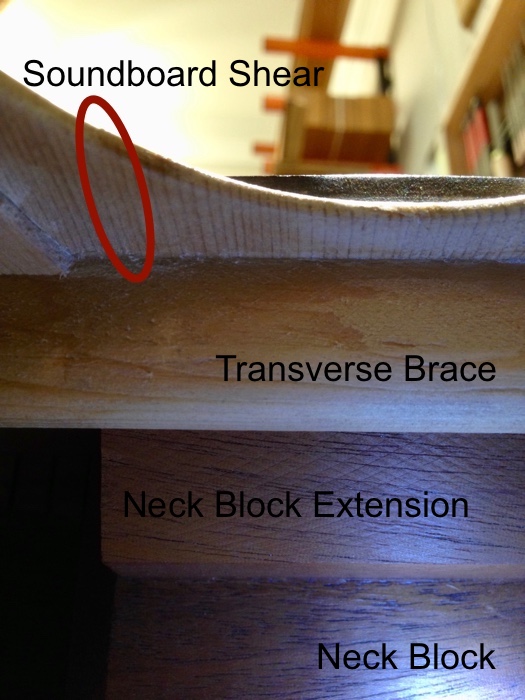 Neck block (as viewed from inside)