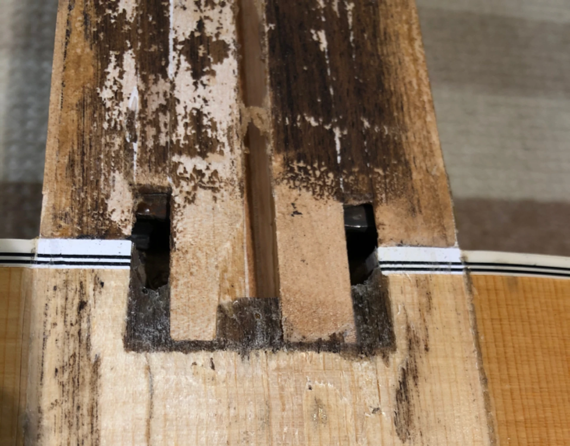 Guild Dovetail Joint