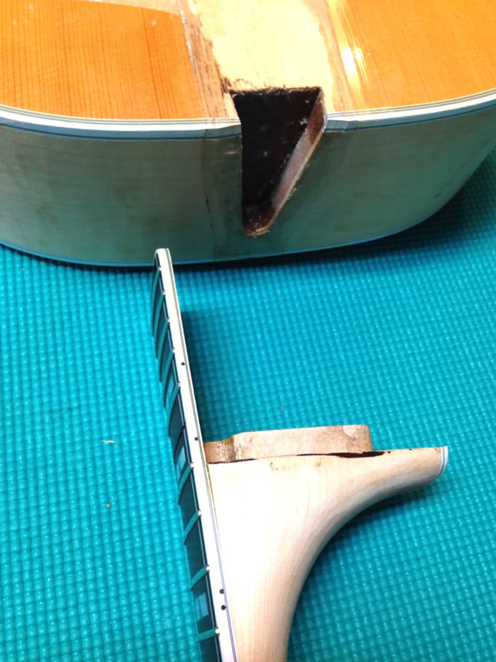 F-412 Neck Removed