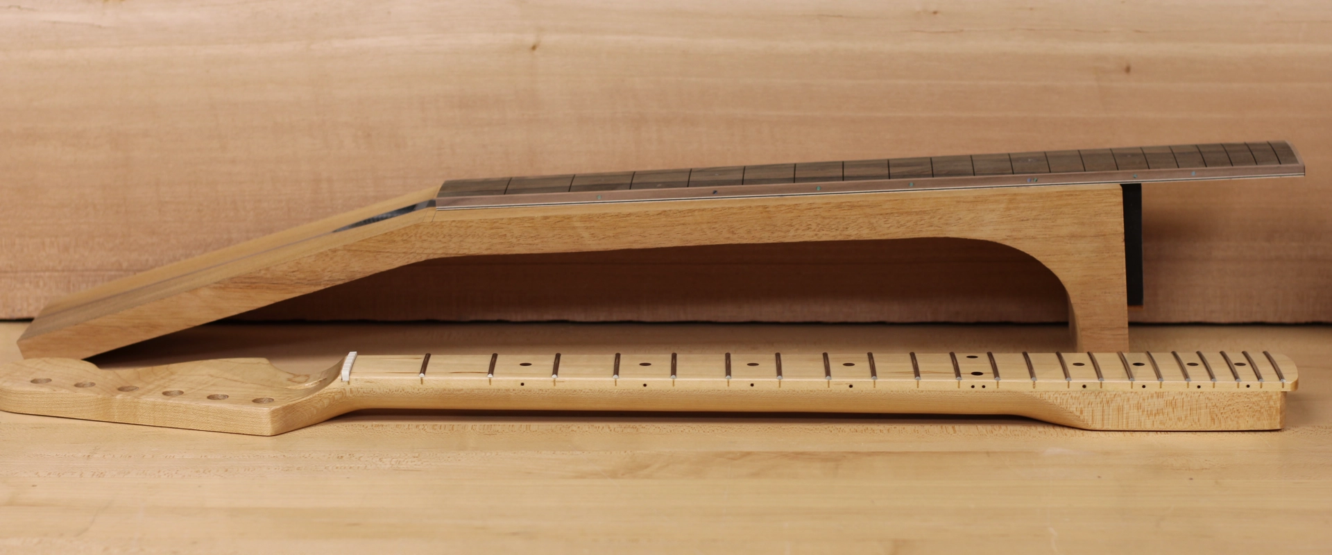 Acoustic and Electric Guitar Necks