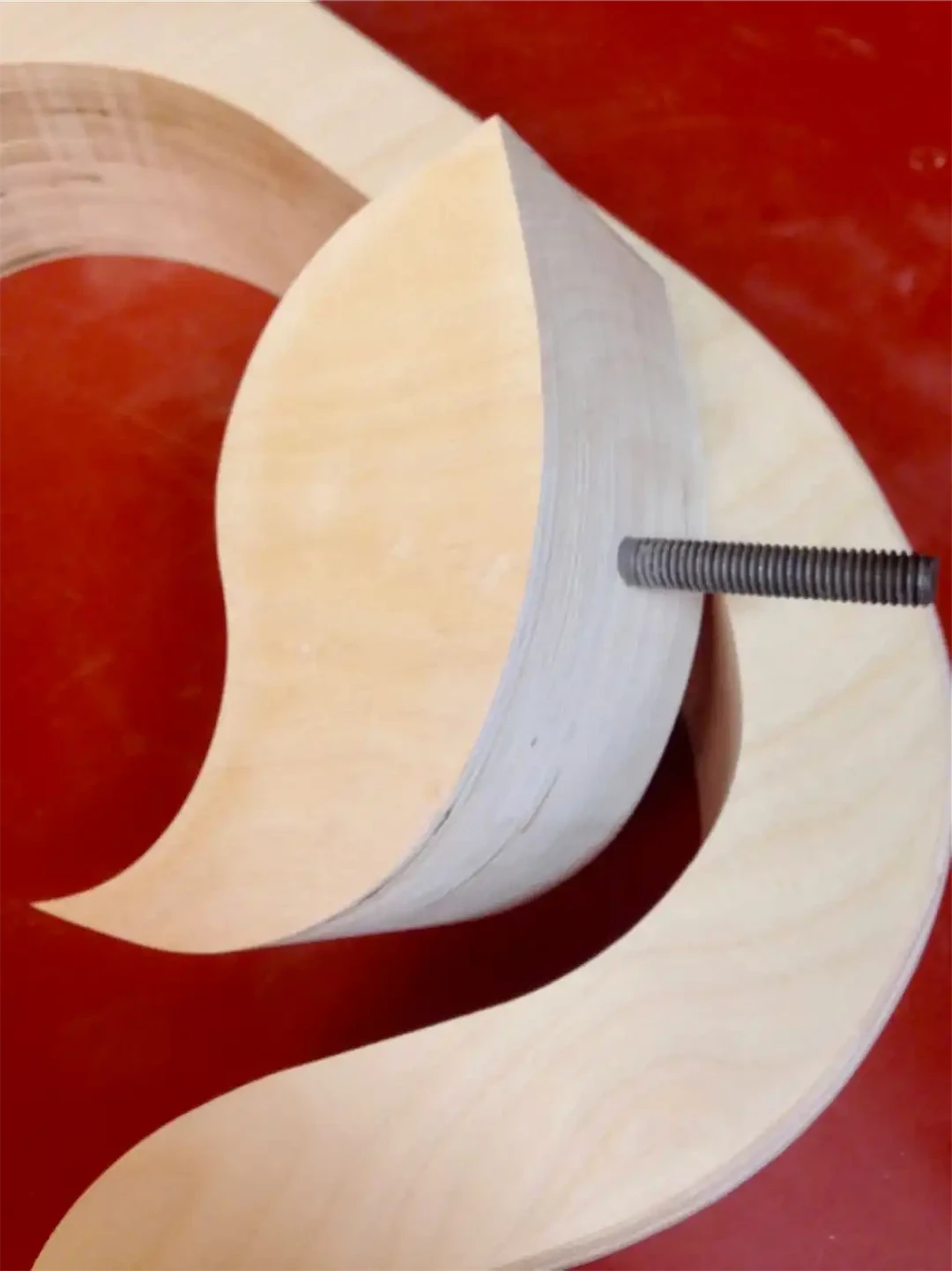 Body Mold Cutaway Insert