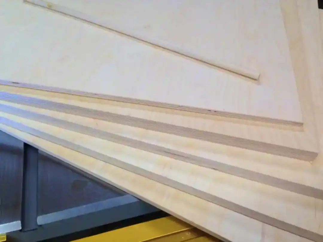 Body Mold Plywood Pieces