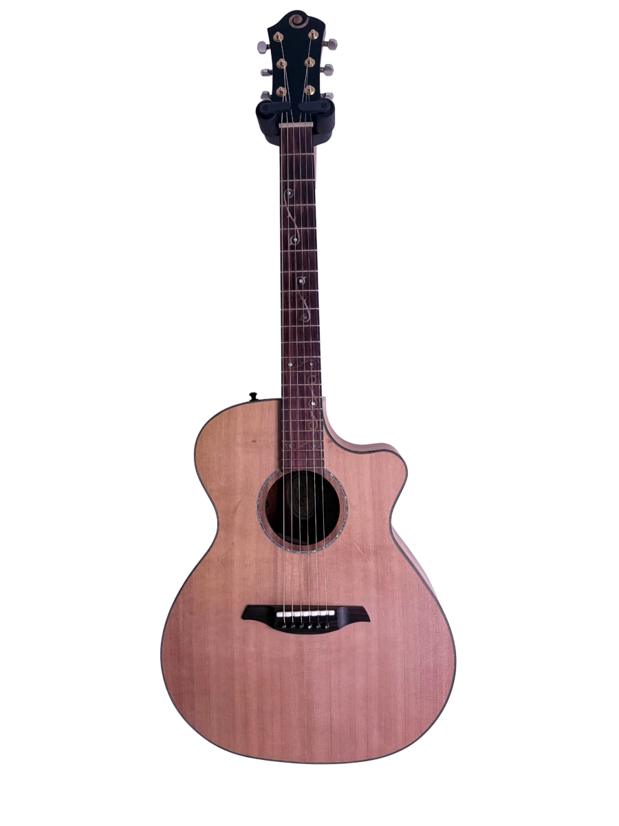 Cozad Guitars - The Canon